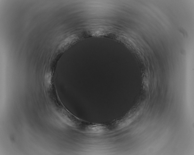 X0000111910219200908101207