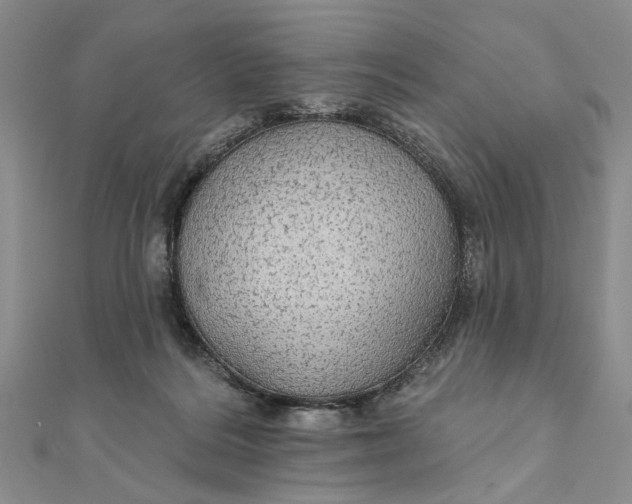 X0000111910220200908101207