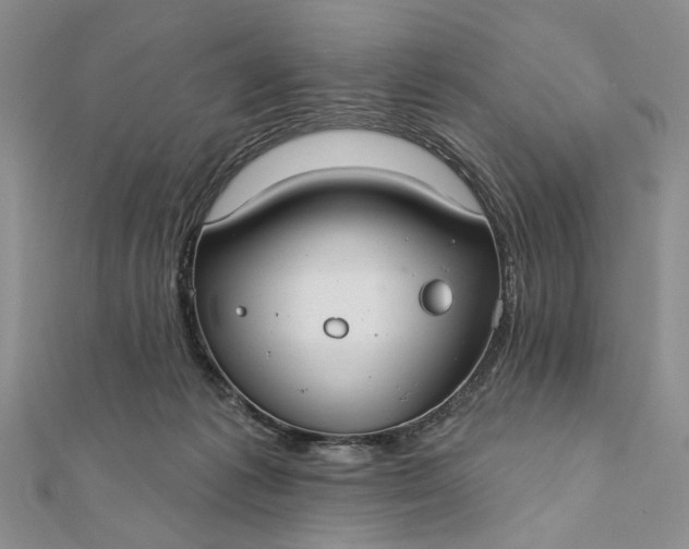 X0000111910221200908101207