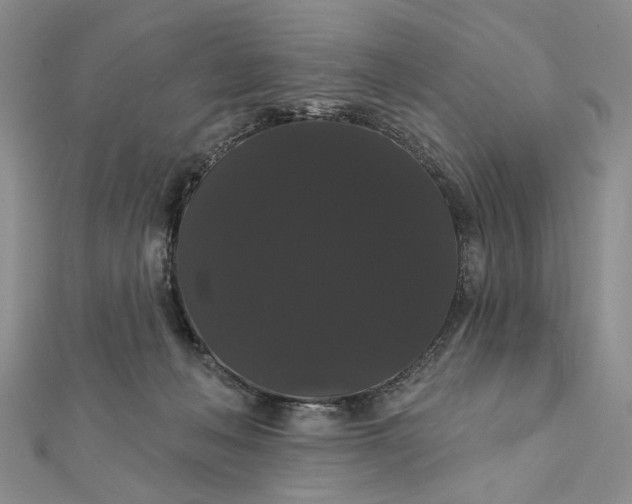 X0000111910222200908101207