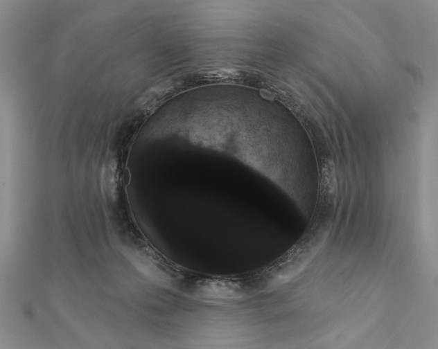 X0000111910223200908101207