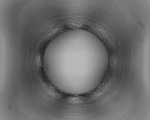 X0000111910224200908101207