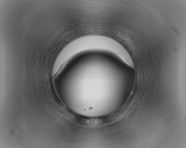 X0000111910225200908101207