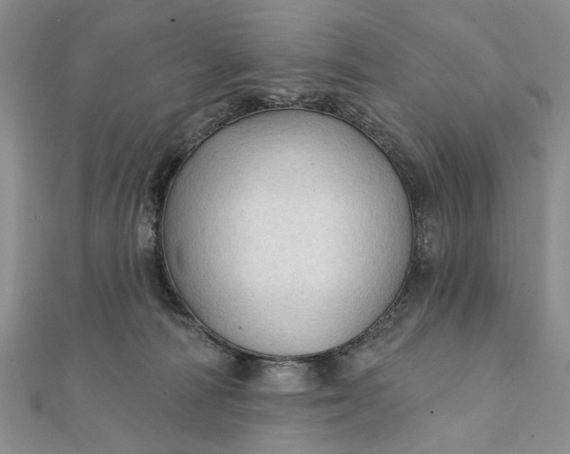 X0000111910226200908101207