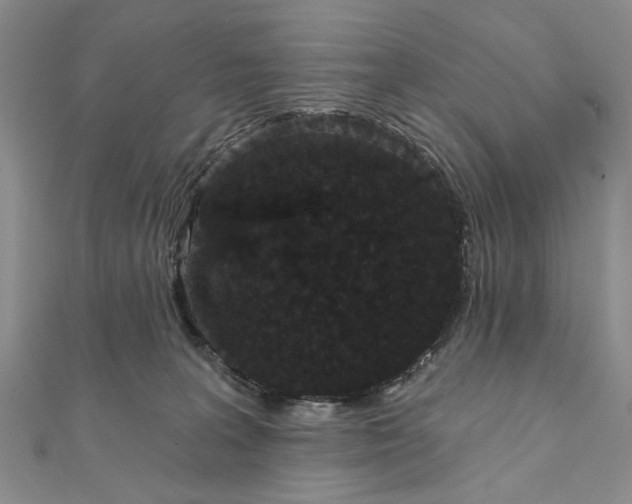 X0000111910227200908101207