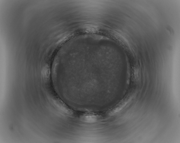 X0000111910228200908101207