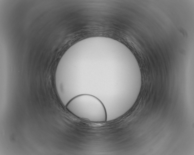 X0000111910229200908101207