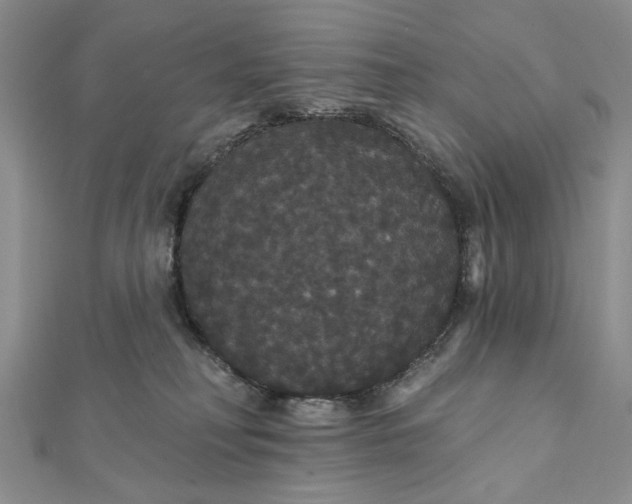 X0000111910230200908101207