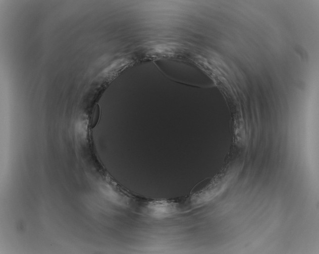 X0000111910231200908101207