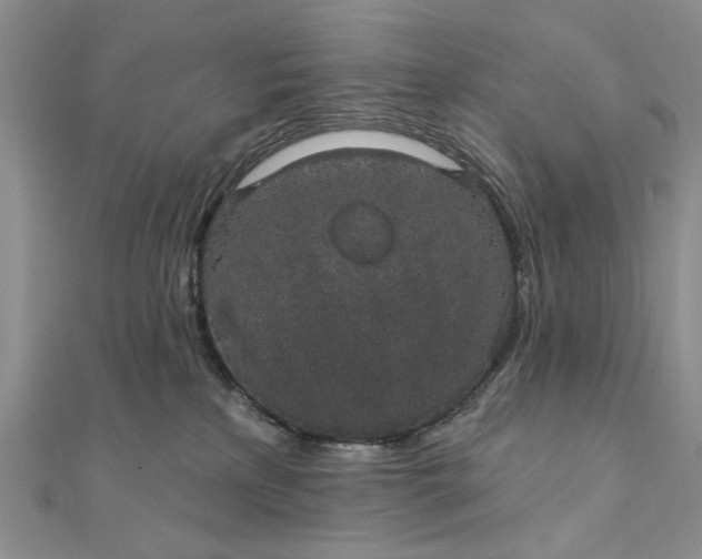 X0000111910233200908101207