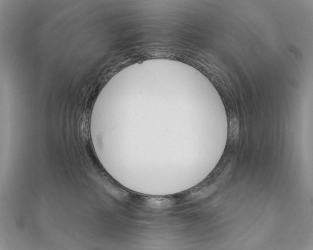 X0000111910234200908101207