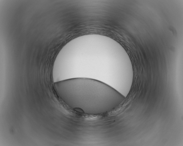 X0000111910235200908101207