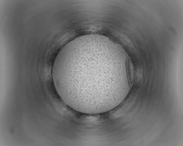 X0000111910236200908101207