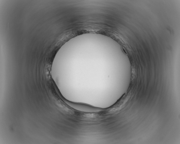 X0000111910237200908101207