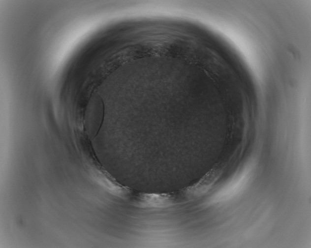 X0000111910239200908101207