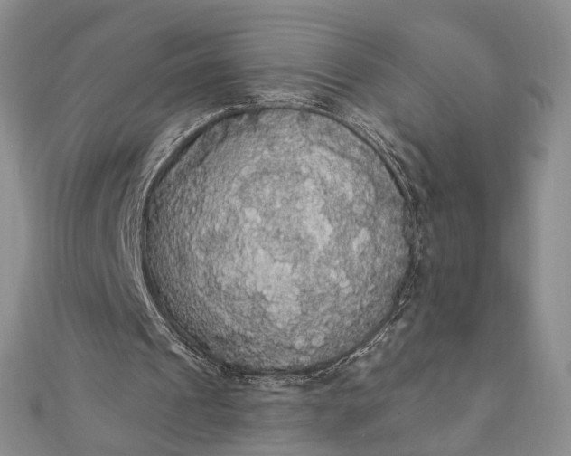 X0000111910241200908101207