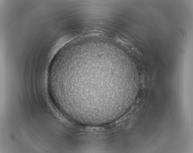 X0000111910242200908101207