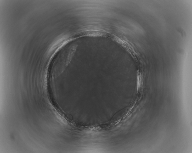 X0000111910243200908101207