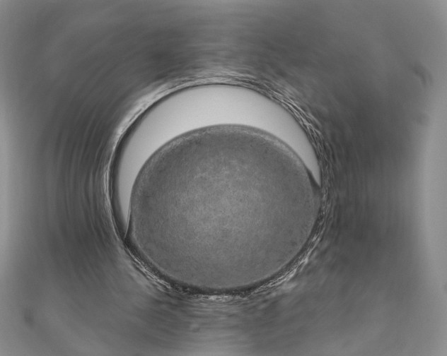 X0000111910244200908101207