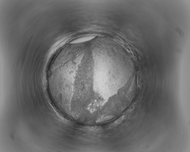 X0000111910245200908101207