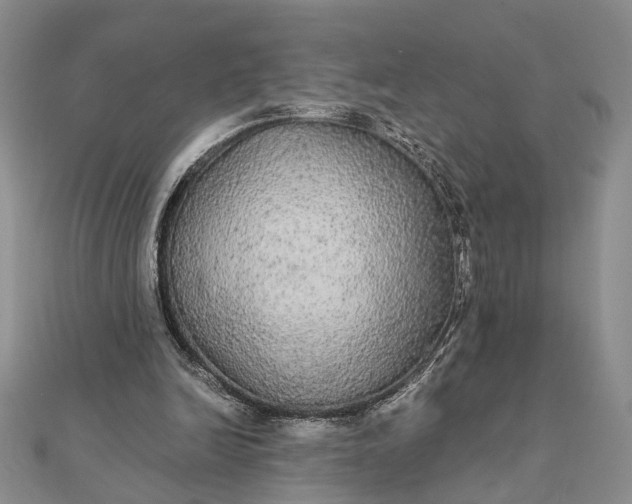 X0000111910246200908101207