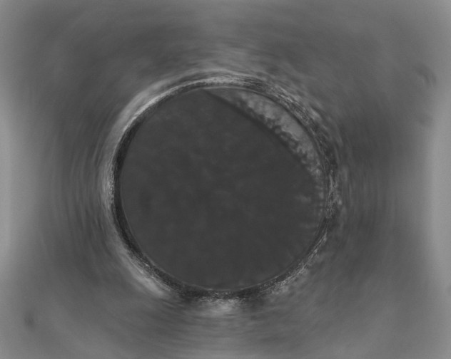 X0000111910247200908101207