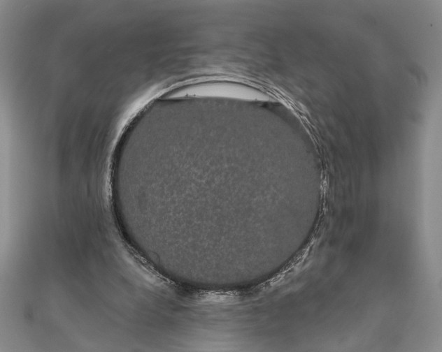 X0000111910248200908101207