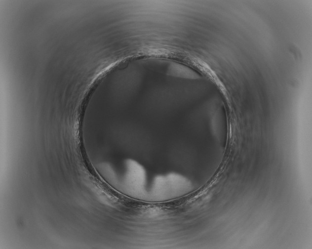 X0000111910249200908101207