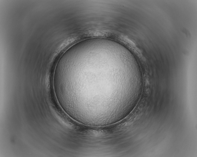 X0000111910250200908101207