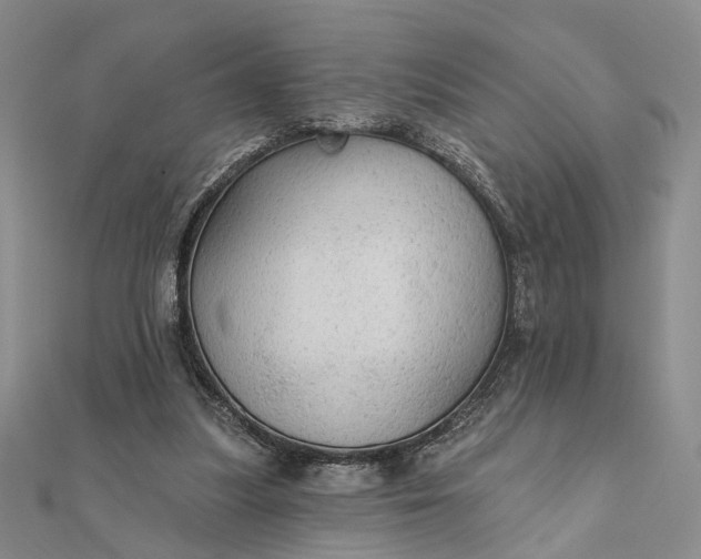 X0000111910251200908101207