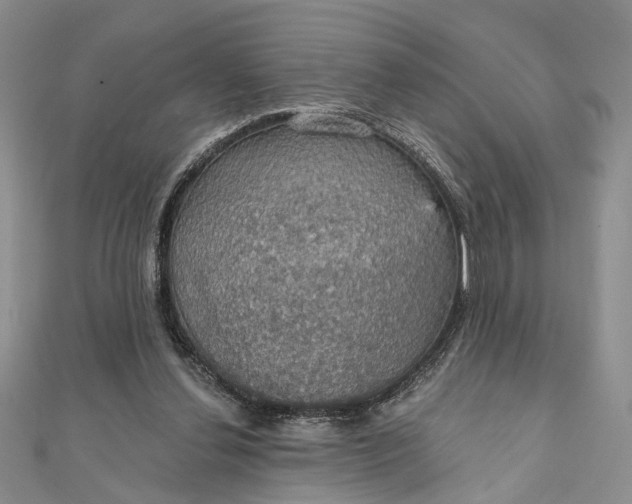 X0000111910252200908101207