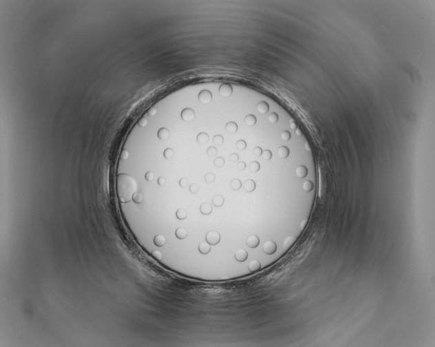 X0000111910253200908101207