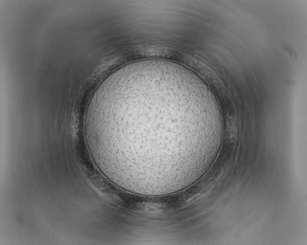 X0000111910255200908101207