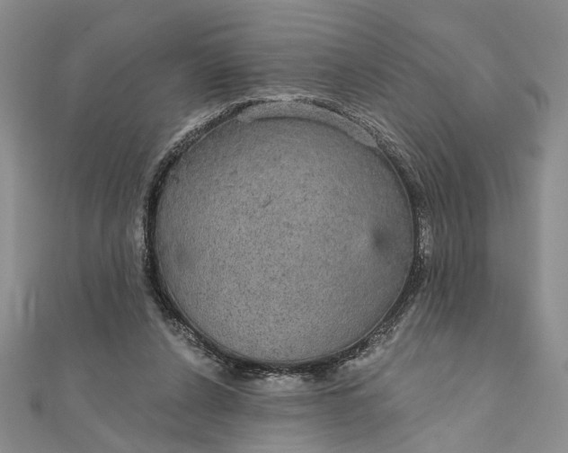 X0000111910256200908101207