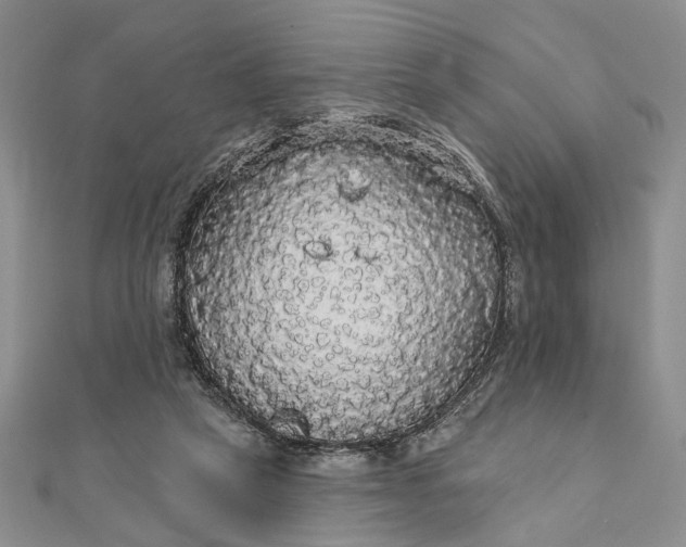 X0000111910257200908101207