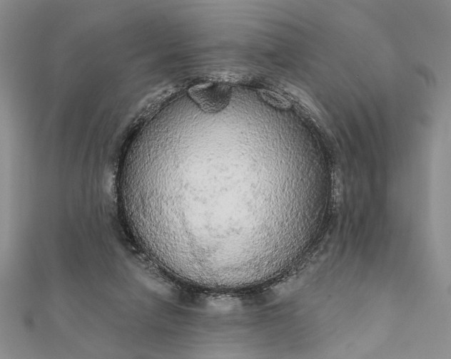 X0000111910258200908101207