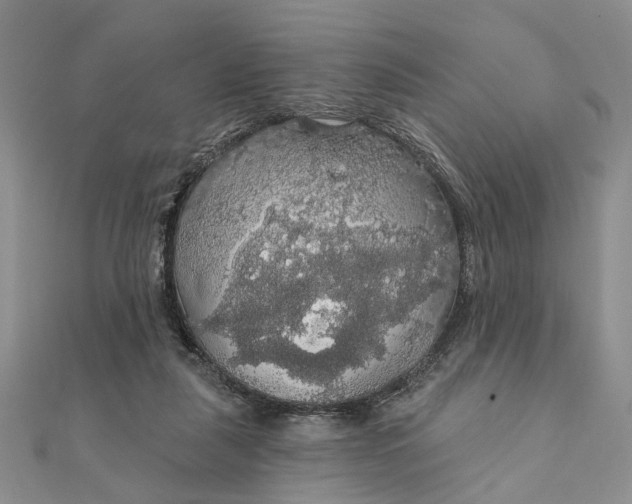 X0000111910259200908101207