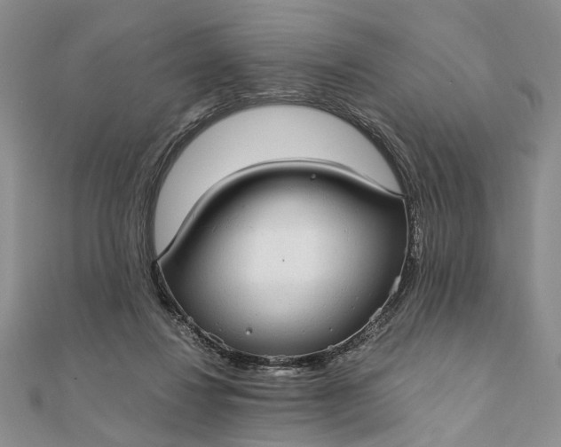 X0000111910260200908101207