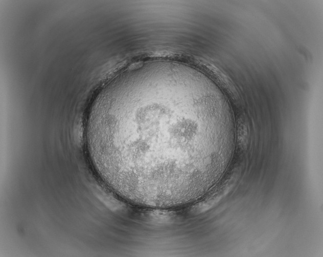 X0000111910261200908101207