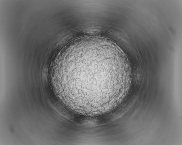 X0000111910263200908101207