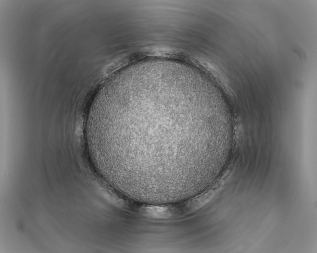 X0000111910265200908101207