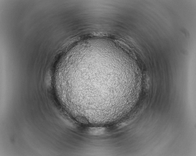 X0000111910266200908101207