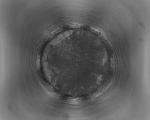 X0000111910267200908101207