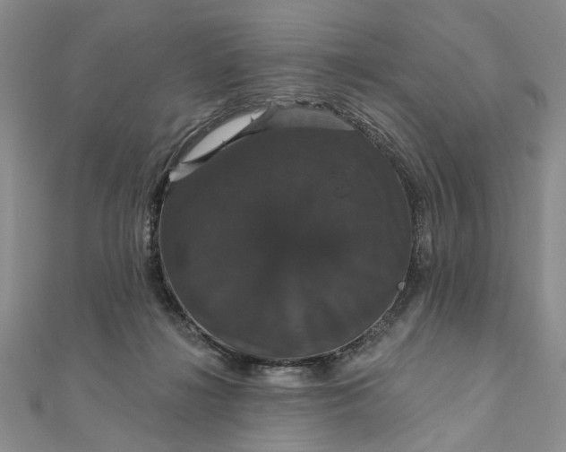 X0000111910268200908101207