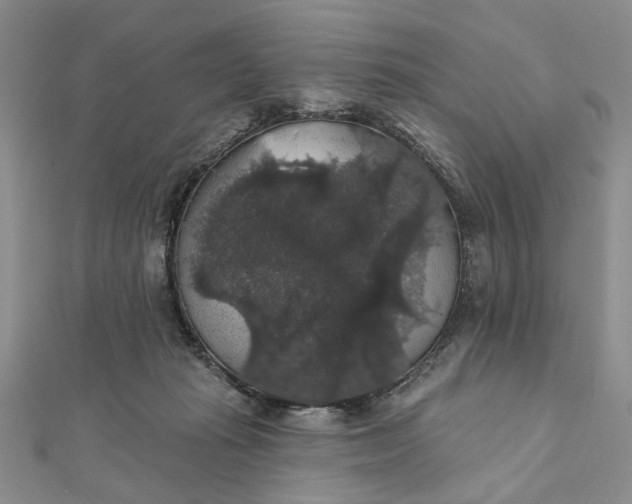 X0000111910269200908101207