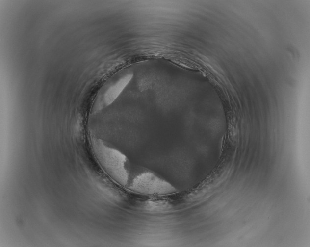 X0000111910270200908101207