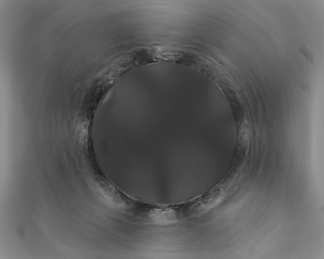 X0000111910271200908101207