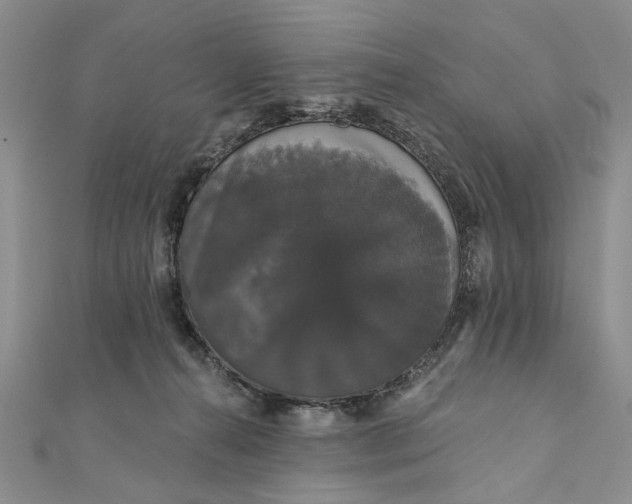 X0000111910272200908101207