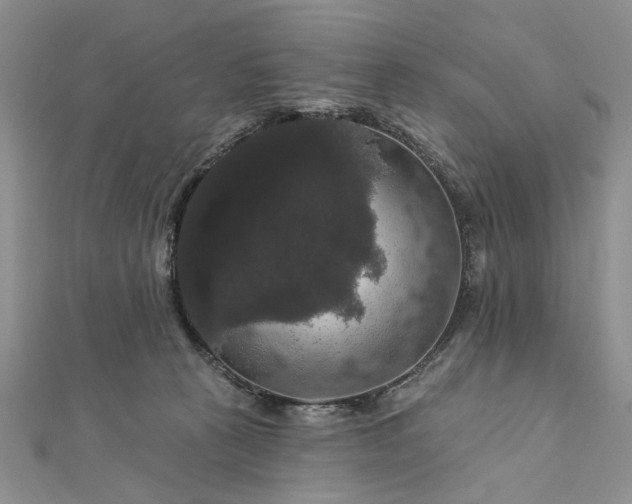 X0000111910273200908101207