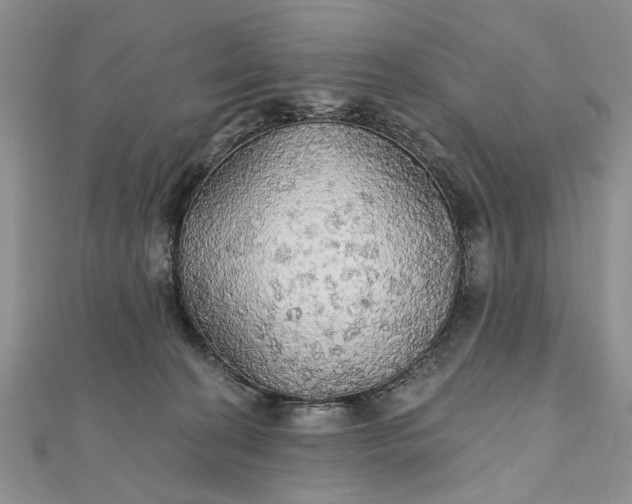 X0000111910274200908101207